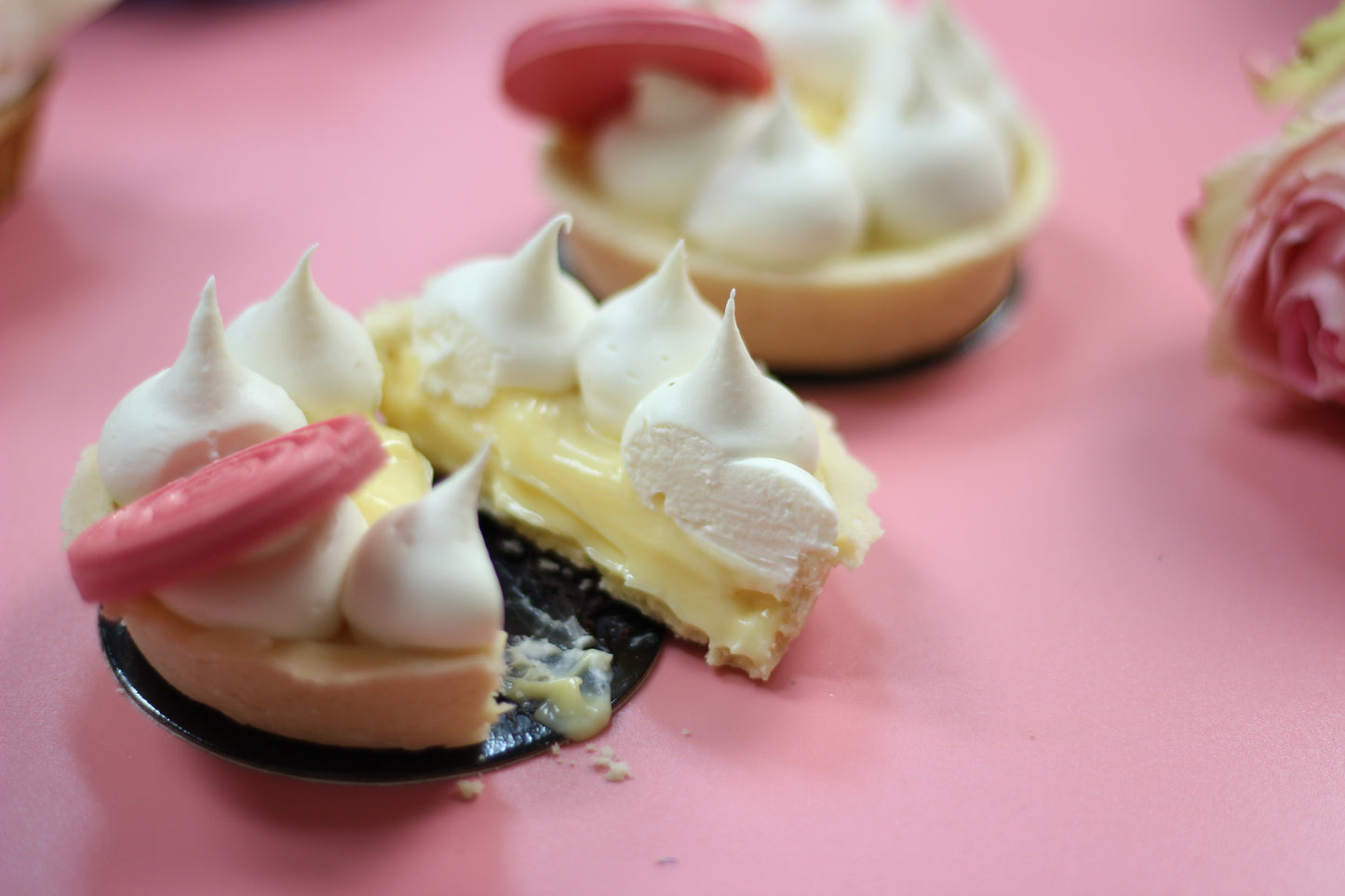 The Custard Swirl Tartlet - Pink